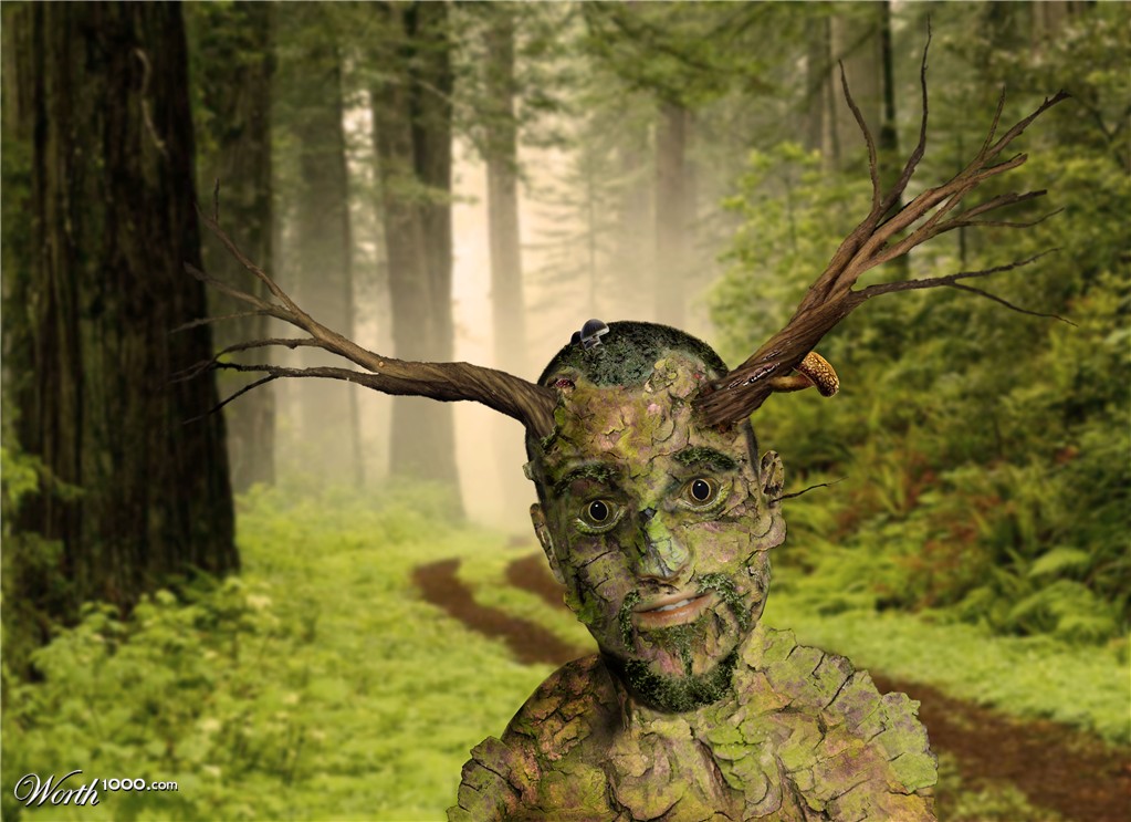 Tree Faerie
