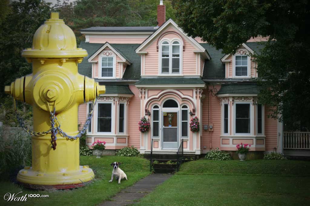 Fire Hydrant