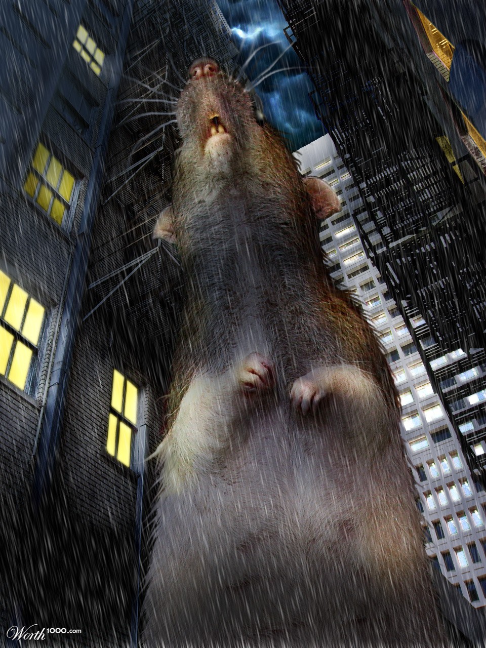 Rat Problem