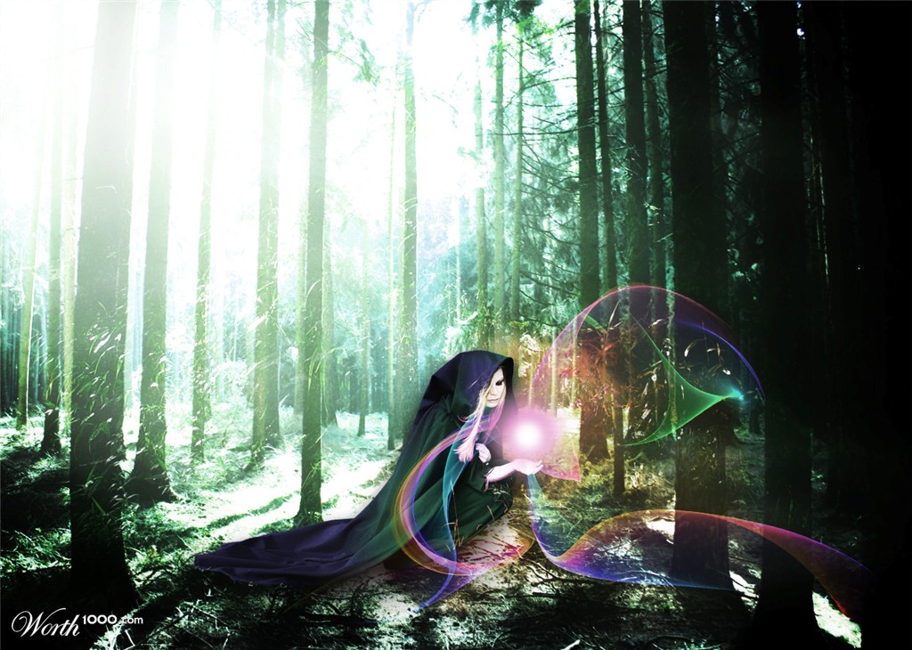 Magic forest
