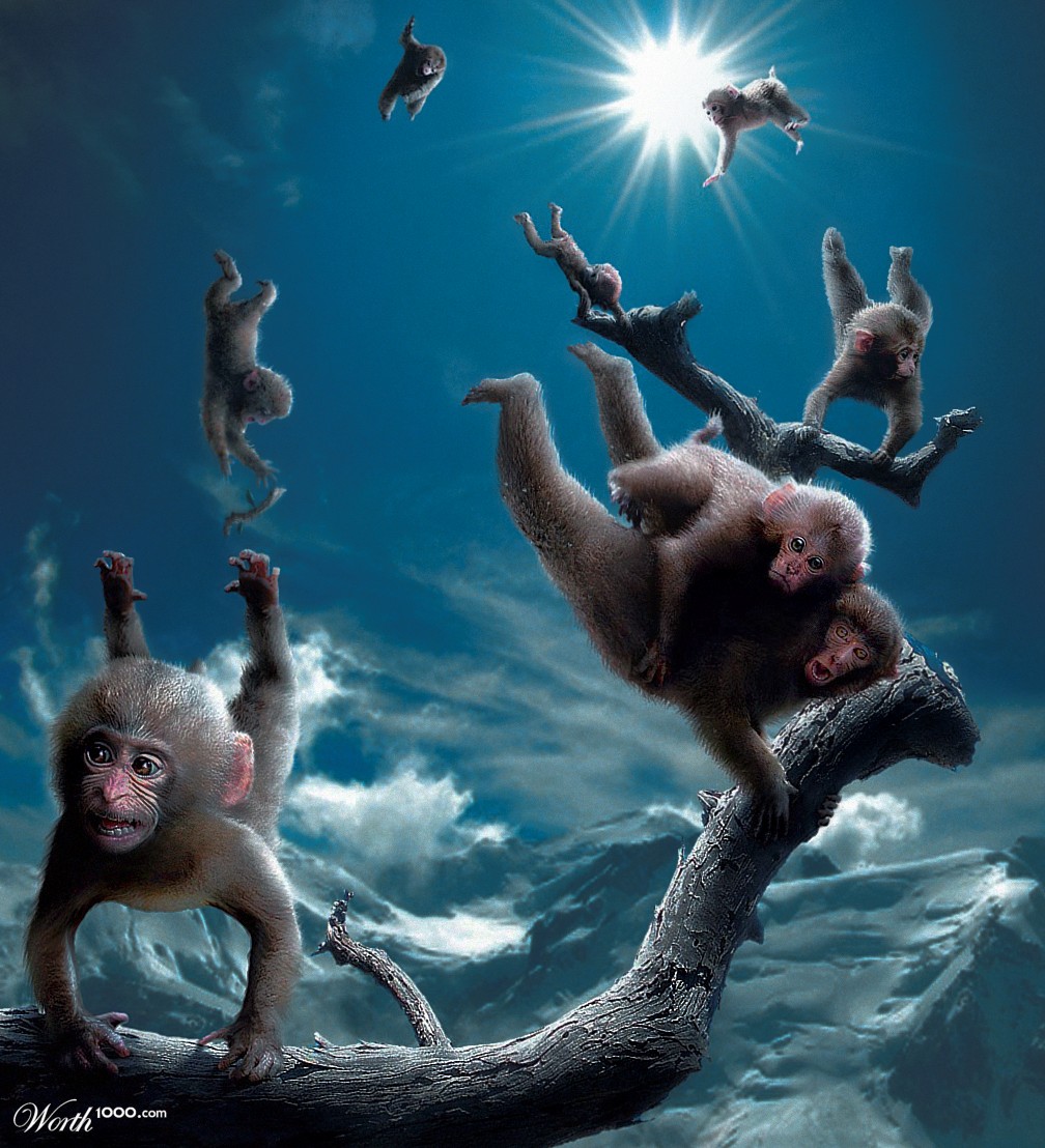 Monkeys levitating