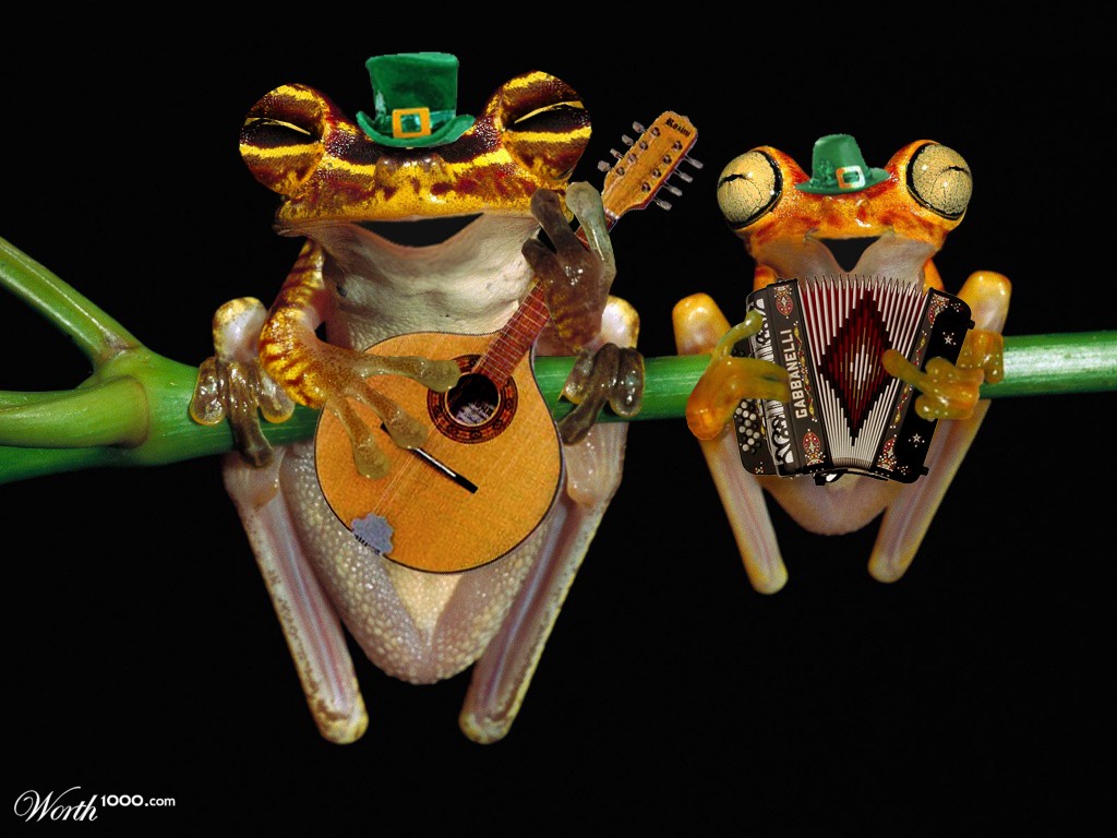 Frogs concert