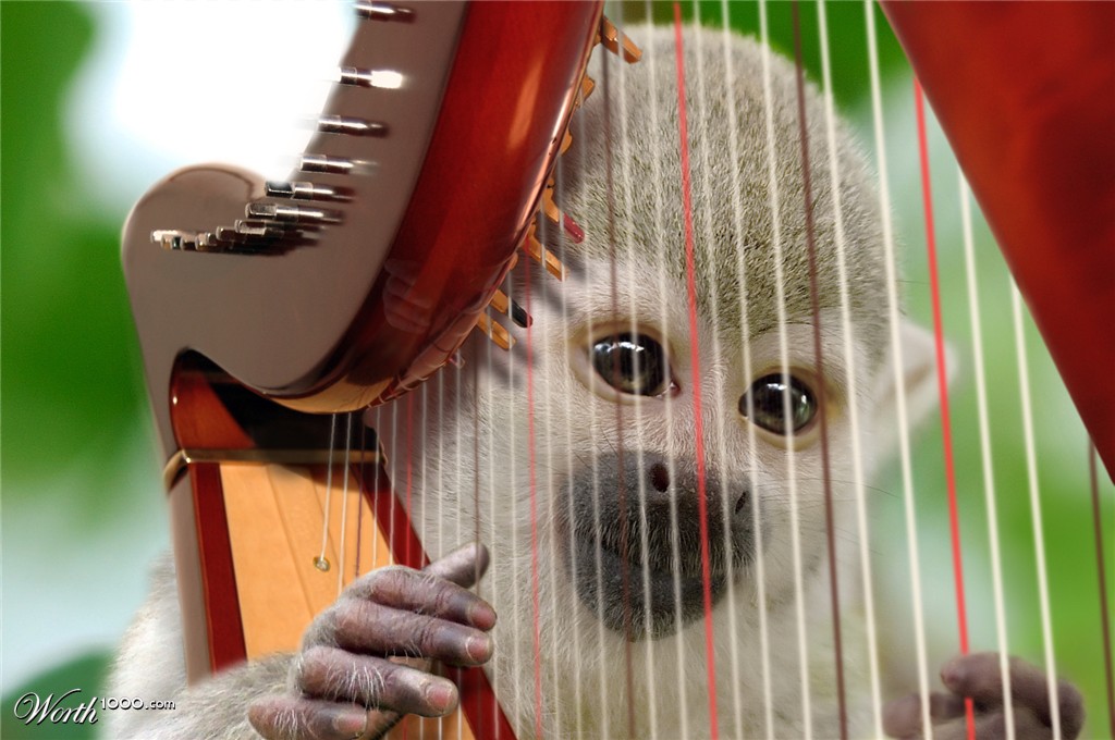 Monkey playing harp