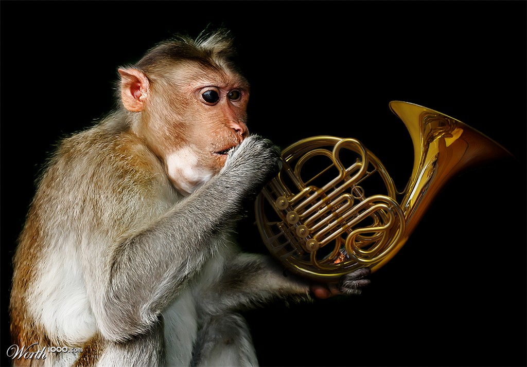 Monkey Business