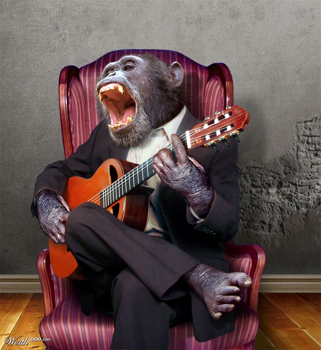 Monkey musician