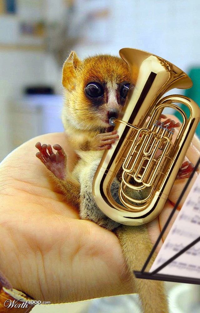 Practise makes perfect