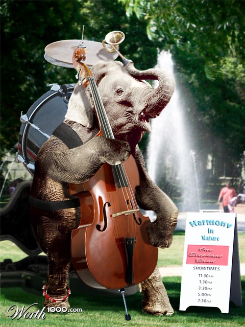 One Elephant Band