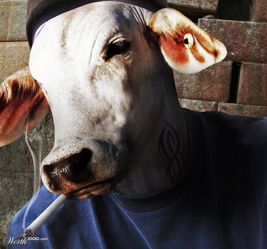 T-Bone