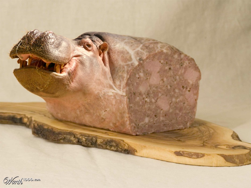 Hippo-paté-mus