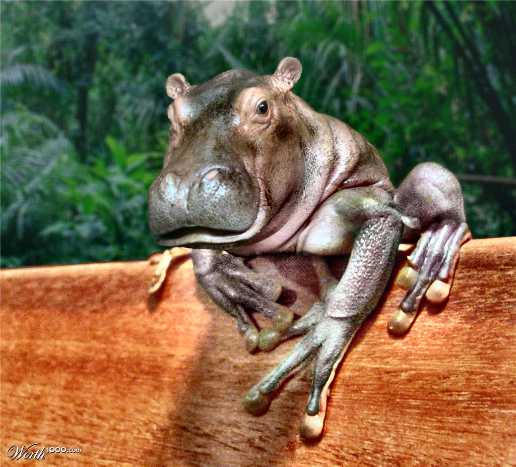 Hippog