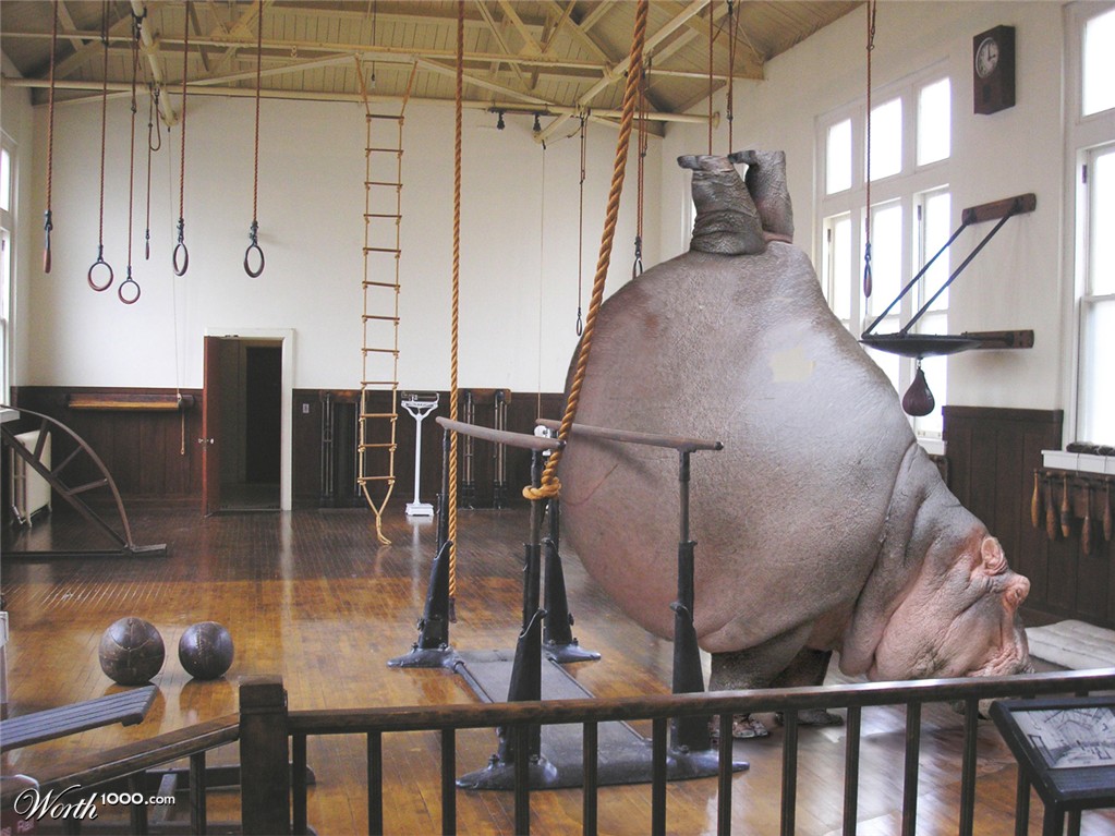 Olympic Hippo