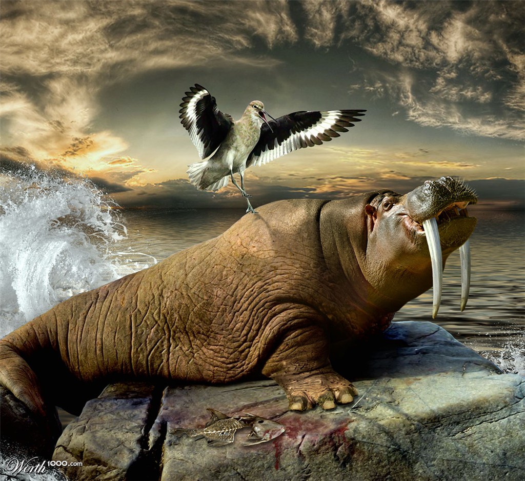 Hippowalrus