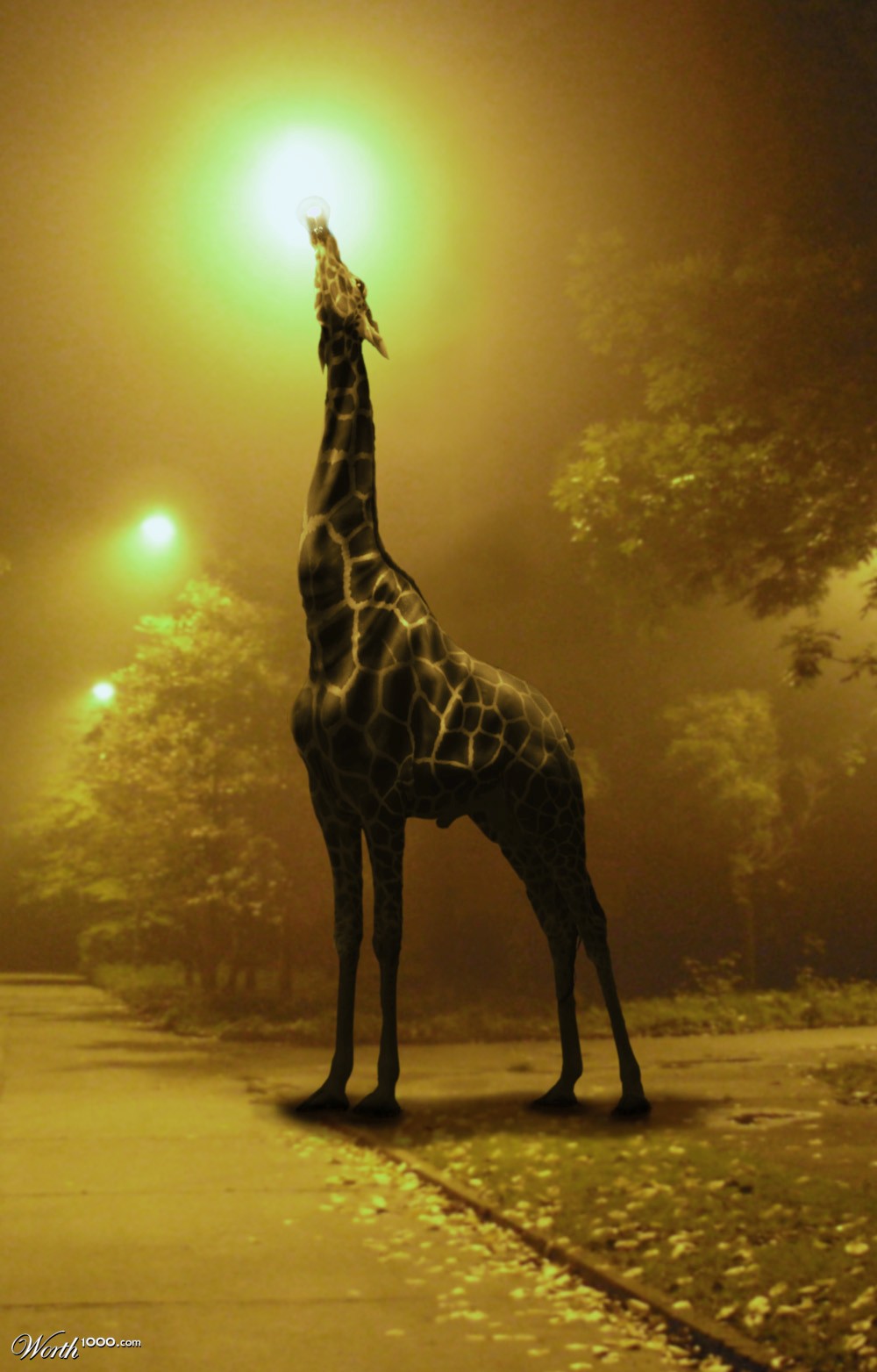 Nobody here but us streetlights