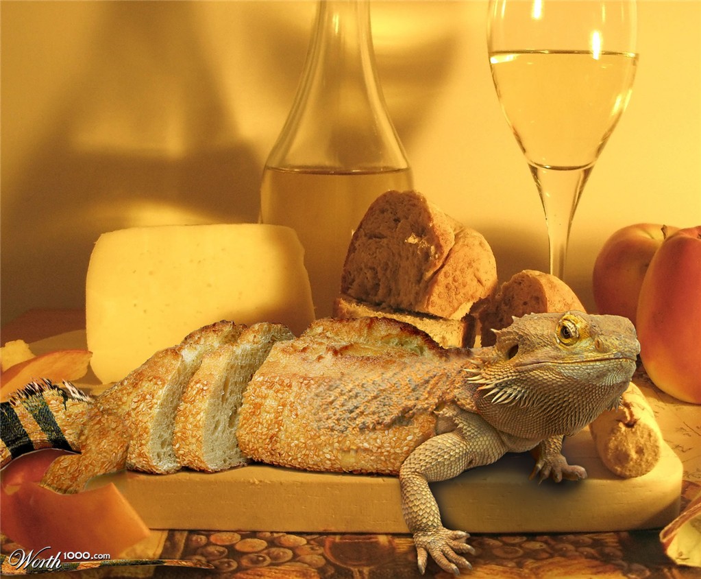 Iguana Bread