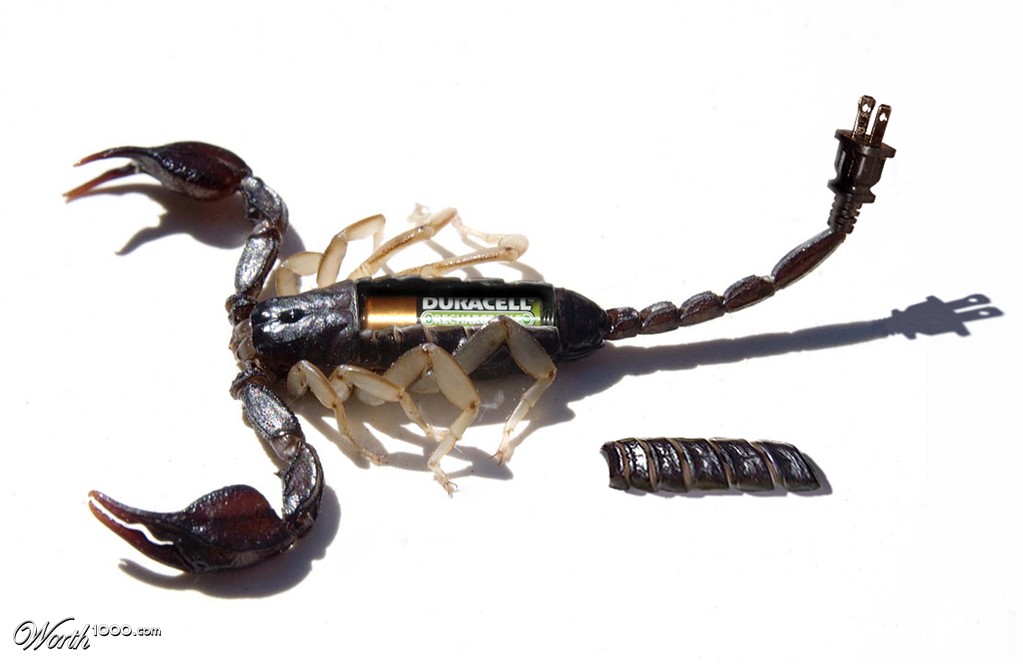 Rechargeable Scorpion