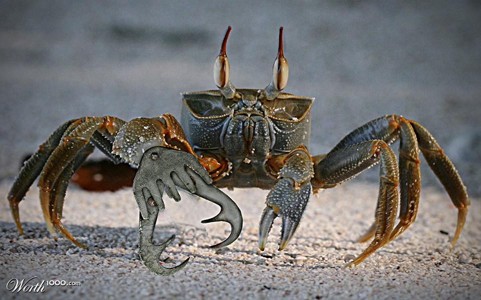 metal claw