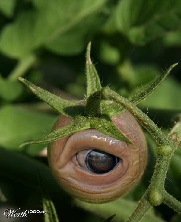 New Eye