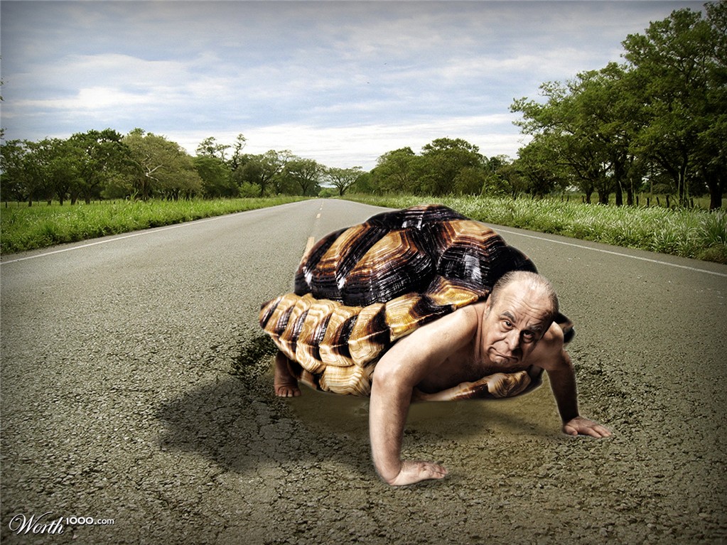 Turtle Man