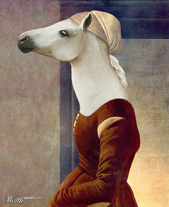 Horse Renaissance