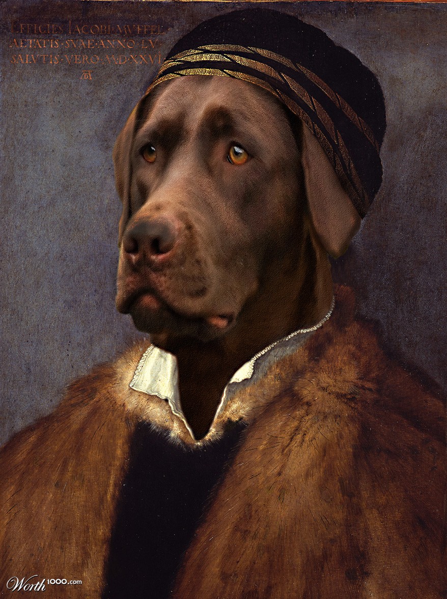 DogRen