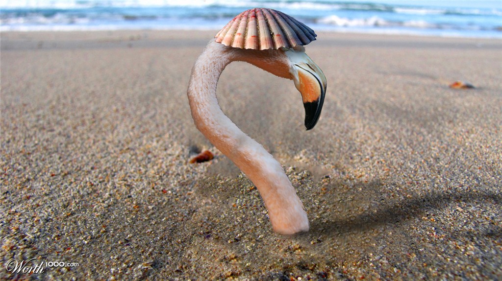 Stuck in the sand