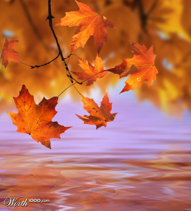 Autumn Leaves