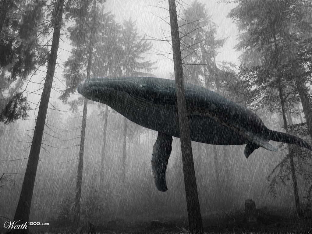 Forest Whale