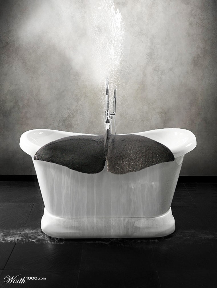 Whale in a tub