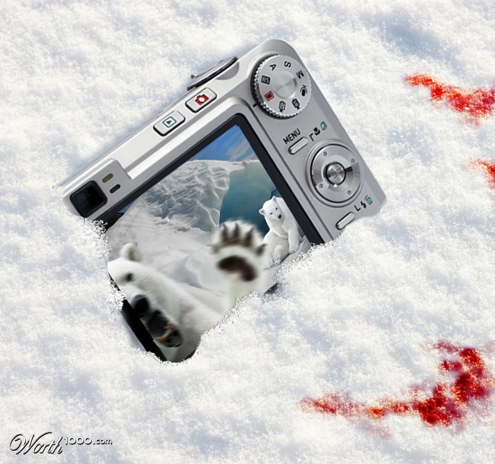 Death by Mama Bear