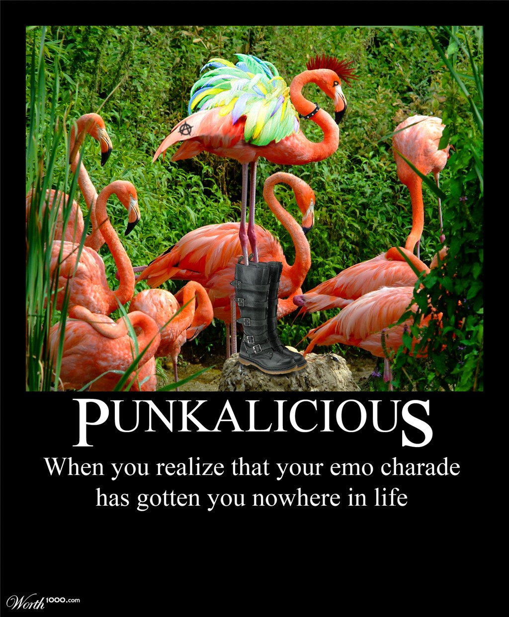 Punkalicious