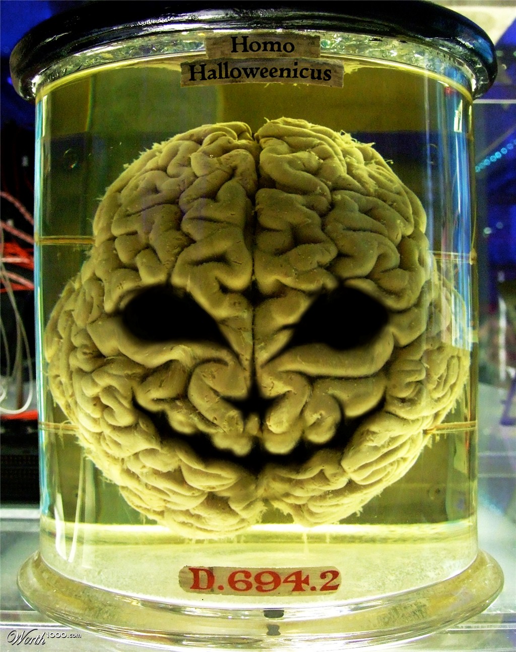 Halloween on the Brain