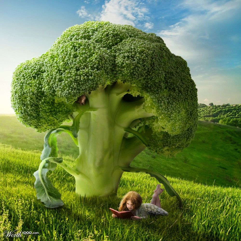 Broccoli Tree