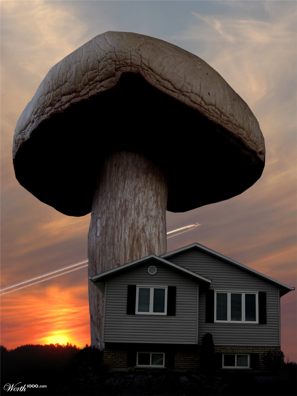 Monster Mushroom