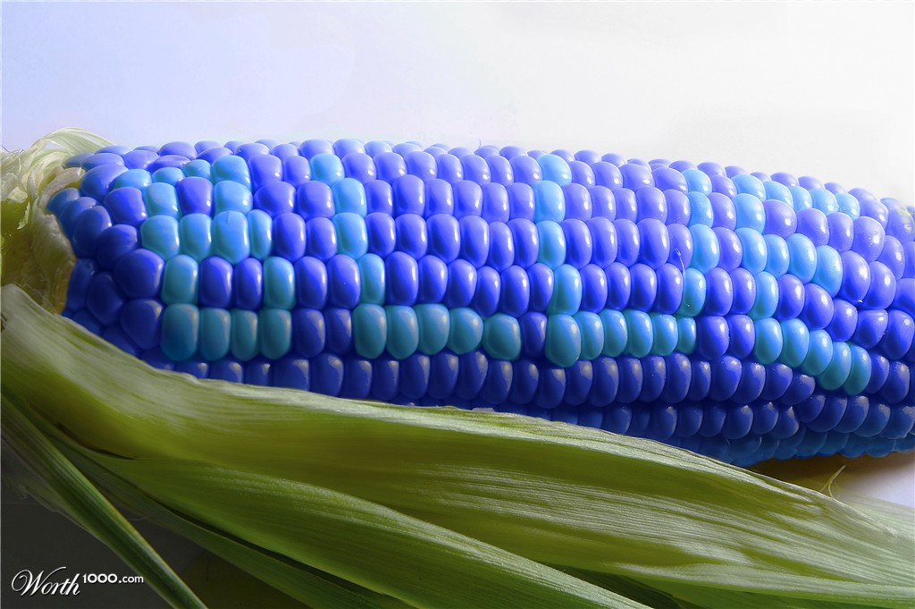 Corn