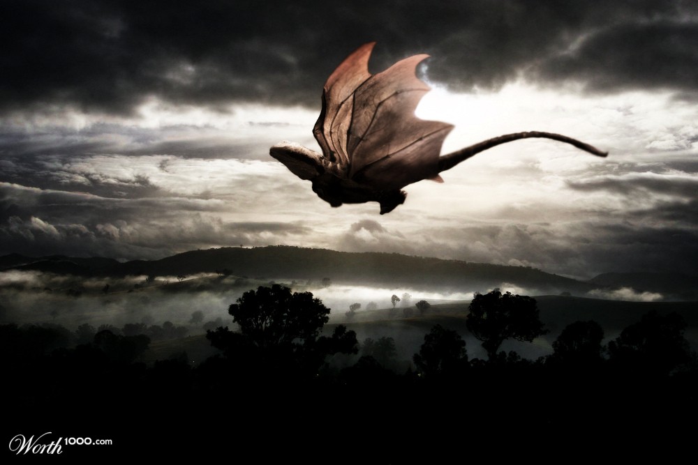 Migration