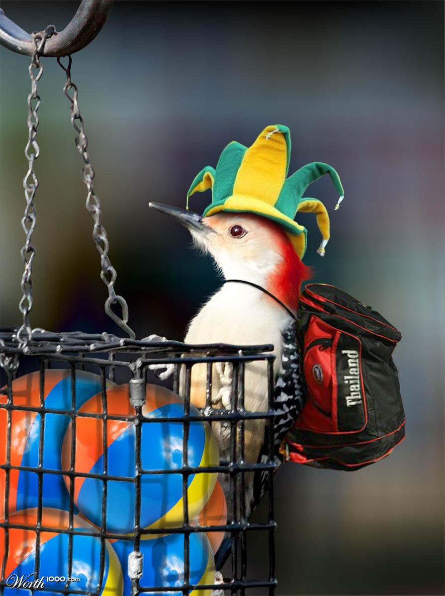 Athlete Bird