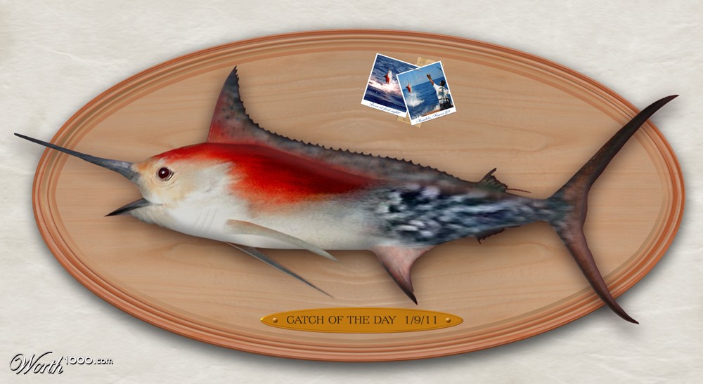 Fish Tales