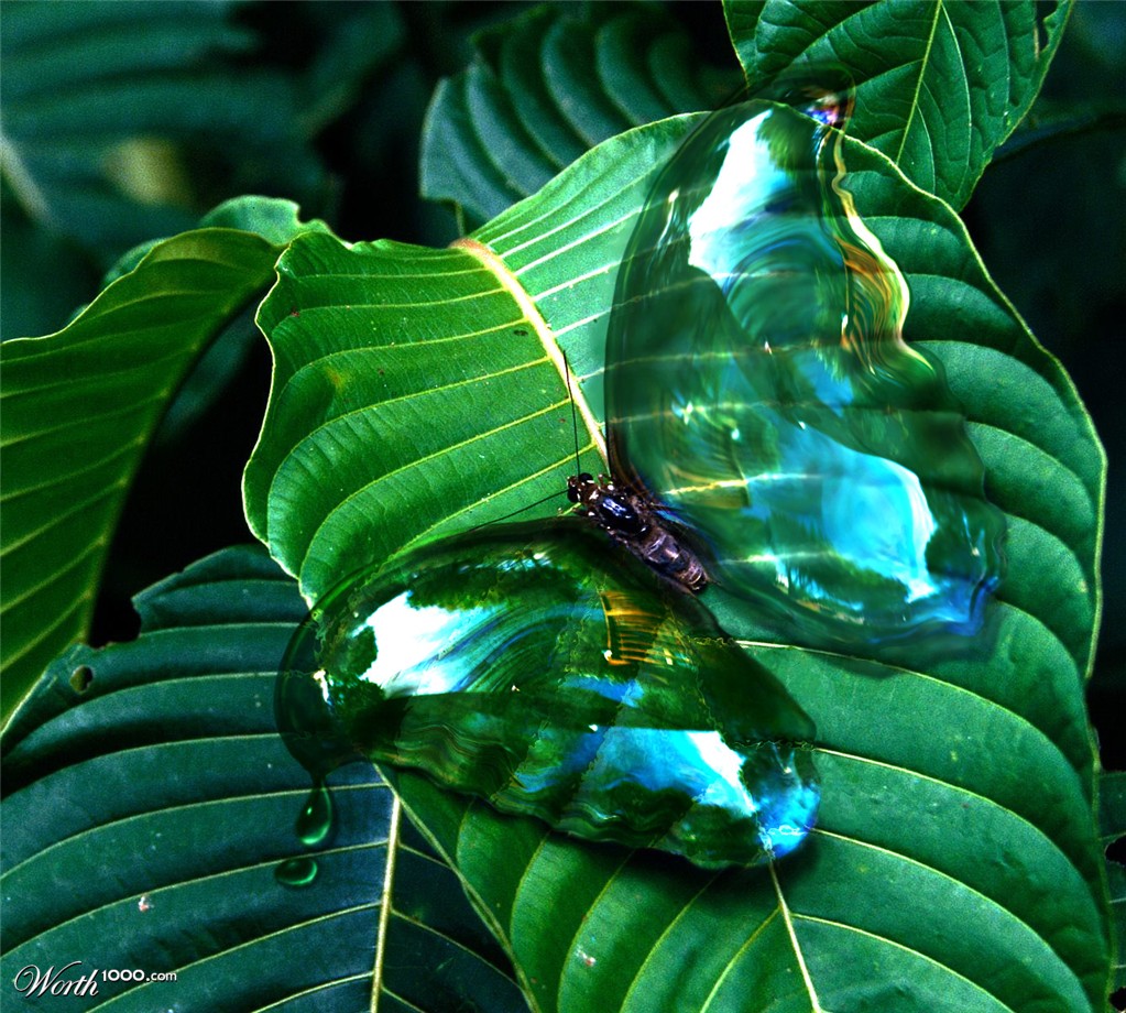Bubblefly