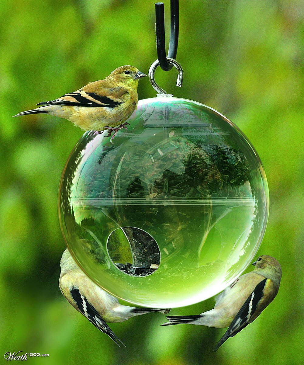 Bubble Feeder