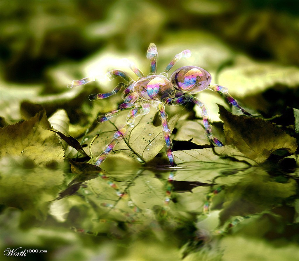 Bubble Spider