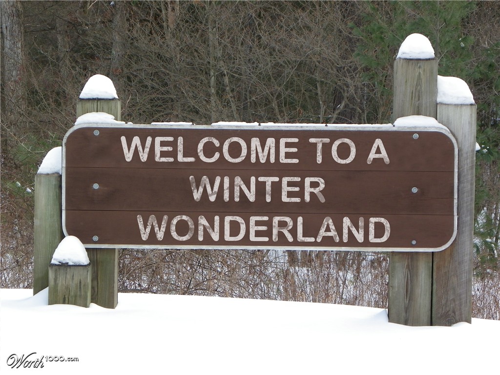 Winter Wonderland