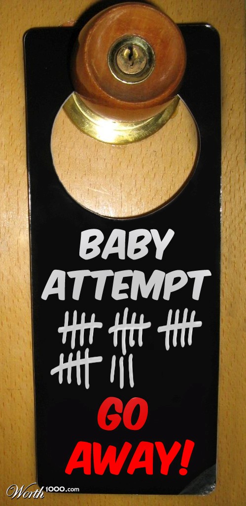 Baby Attempt #23