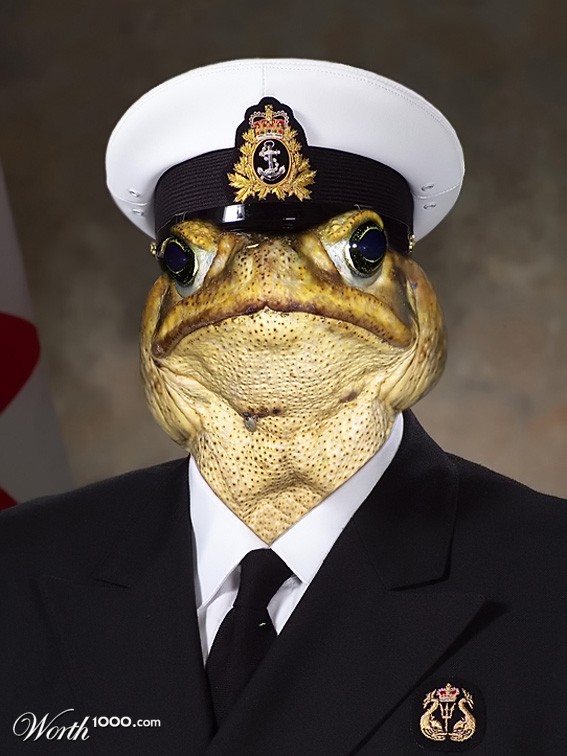Captain Frog