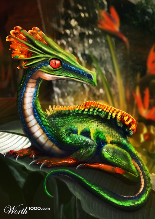 Frog Dragon