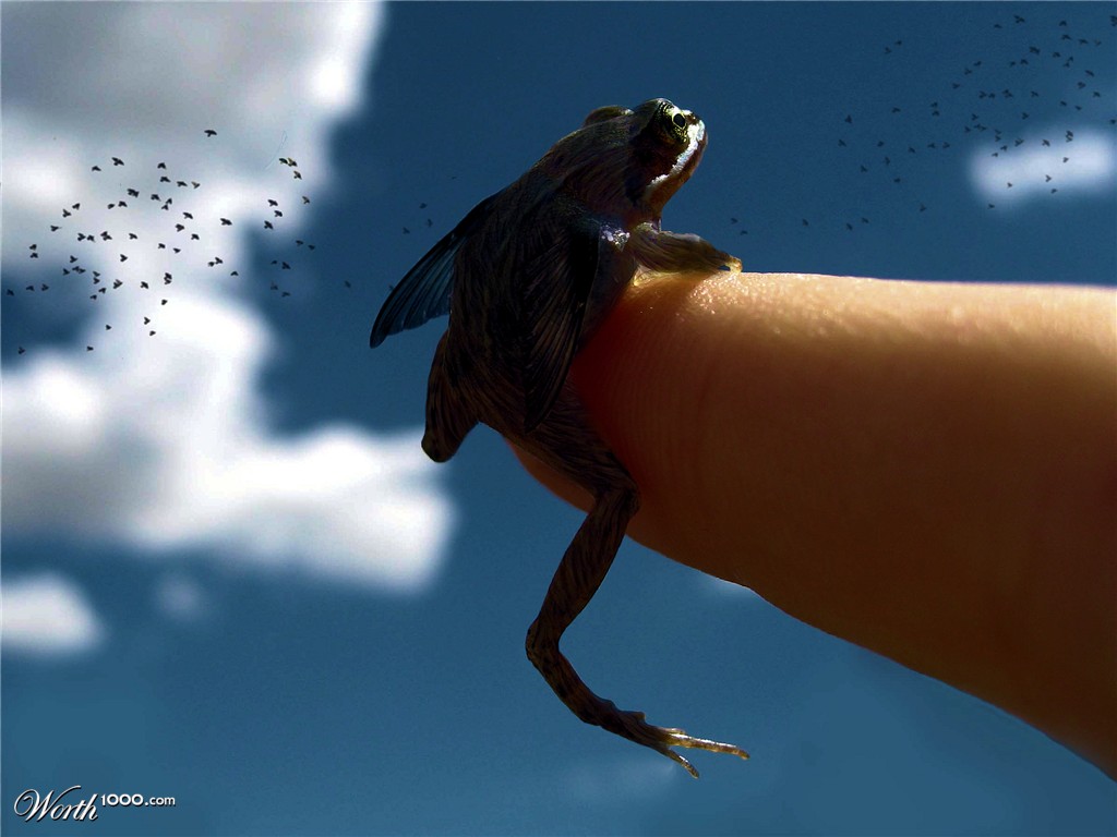 afraid of flying
