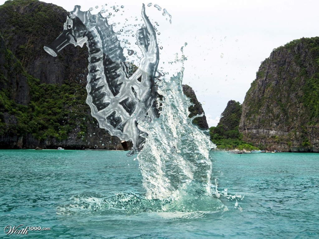 Sea Horse