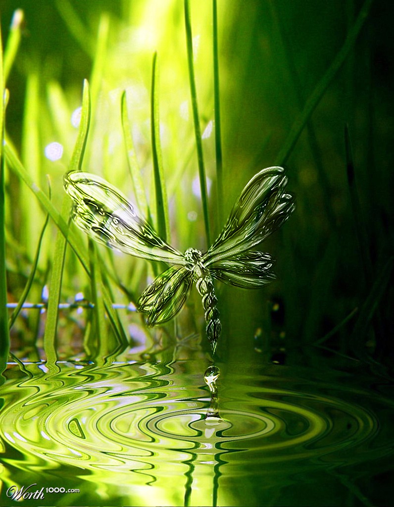 Fly to the light