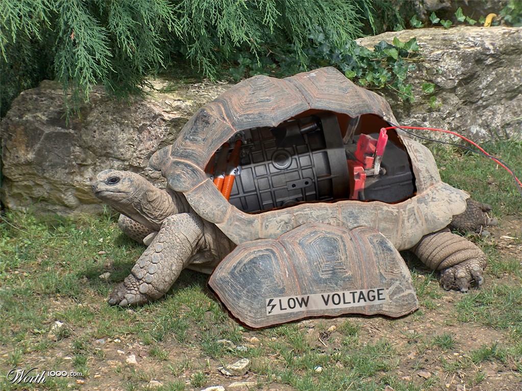Slow Voltage