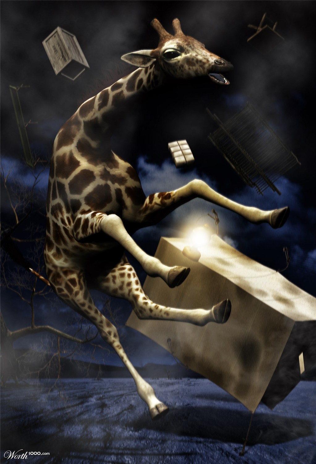 Safari