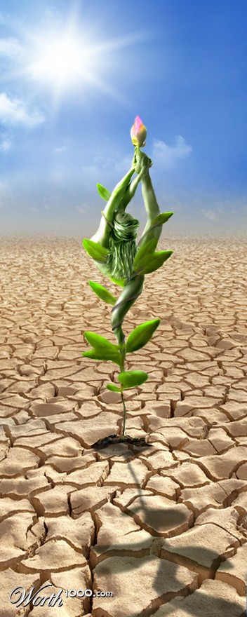 Sapling